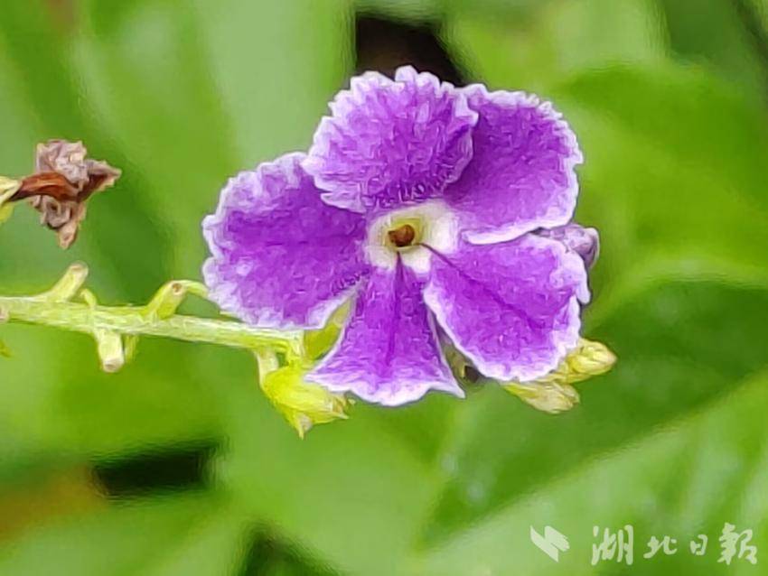 聚游棋牌官网